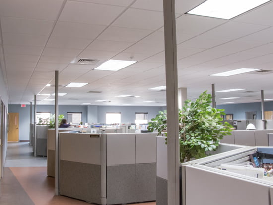 Commercial office space with cubicle is illuminated by overhead LED troffer lighting recessed into the drop ceiling